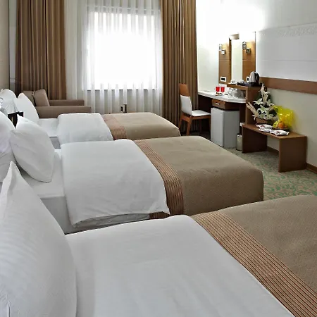 Отель Selcuk 4*